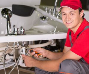 About Plumbers Pros Page, AZ